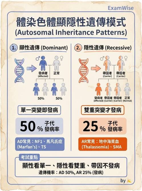 護理師 - 腫瘤及遺傳疾病 - AI 圖文解析預覽