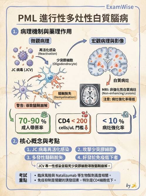 護理師 - 神經及內分泌系統 - AI 圖文解析預覽