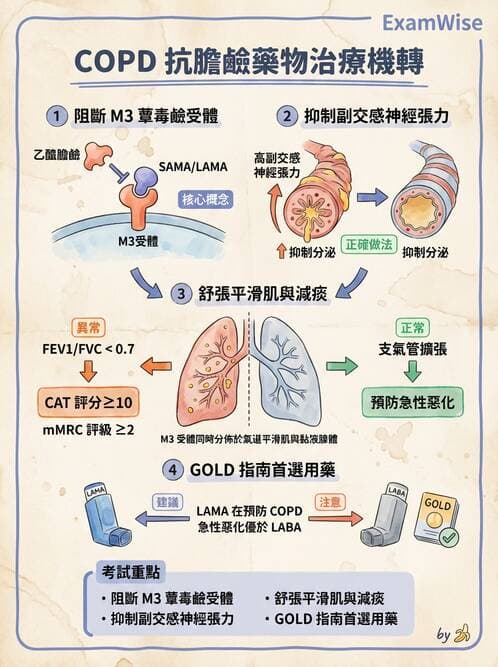 護理師 - 呼吸道及胃腸道作用藥物 - AI 圖文解析預覽