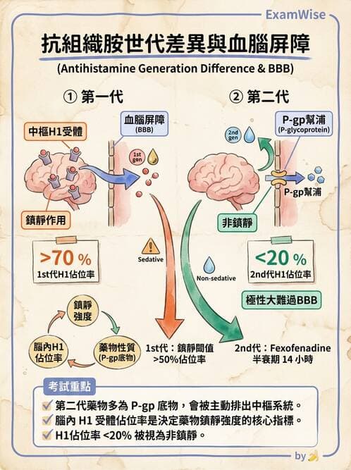 護理師 - 自泌素及藥物 - AI 圖文解析預覽