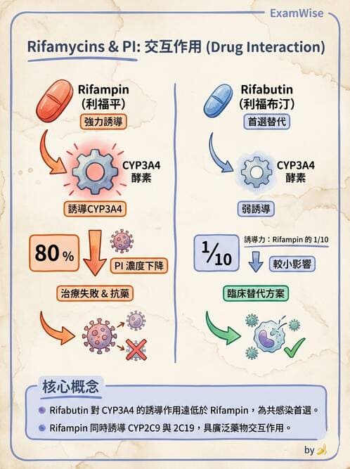 護理師 - 抗感染藥物 - AI 圖文解析預覽