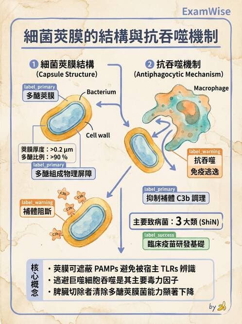 護理師 - 總論 - AI 圖文解析預覽