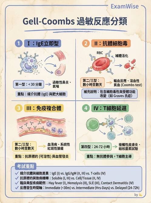 護理師 - 臨床免疫:免疫異常 - AI 圖文解析預覽