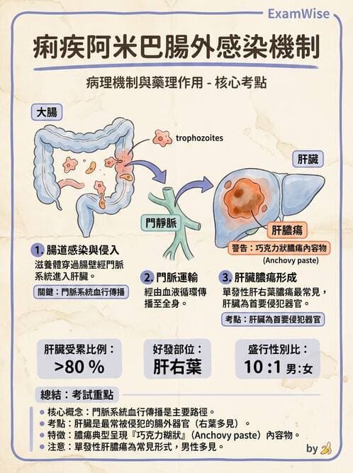護理師 - 寄生蟲概論 - AI 圖文解析預覽
