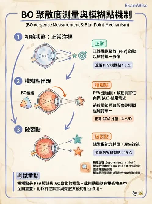 驗光師 - 調節性內聚力與聚散功能檢測 - AI 圖文解析預覽