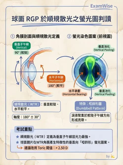 驗光師 - 硬式隱形眼鏡驗配與螢光判讀 - AI 圖文解析預覽
