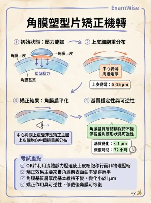 驗光師 - 特殊隱形眼鏡驗配 - AI 圖文解析預覽
