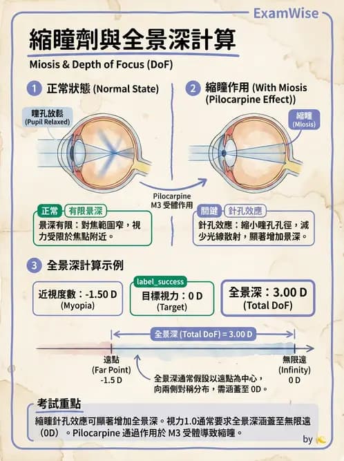 驗光師 - 景深、加入度與老花矯正 - AI 圖文解析預覽