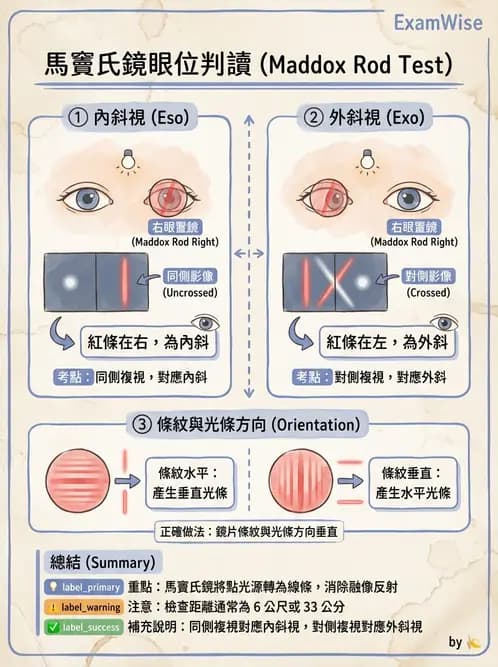 驗光師 - 隱斜位測量方法 - AI 圖文解析預覽