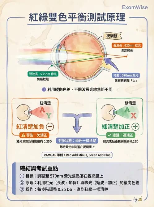 驗光師 - 自覺式驗光流程與球面度判讀 - AI 圖文解析預覽