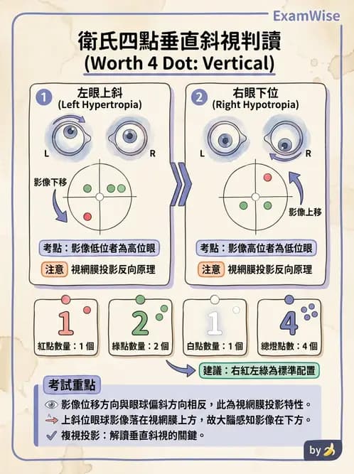 驗光師 - 調節功能與立體視融像評估 - AI 圖文解析預覽