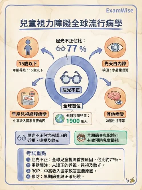 驗光師 - 視障的分類及流行分布 - AI 圖文解析預覽