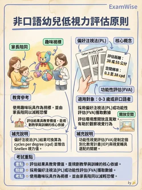 驗光師 - 視野評估與特殊族群檢查 - AI 圖文解析預覽