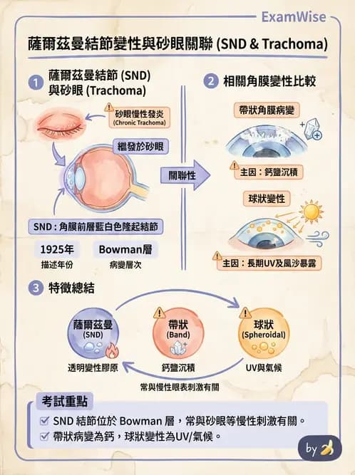 驗光師 - 角膜退化疾病與眼表問題 - AI 圖文解析預覽