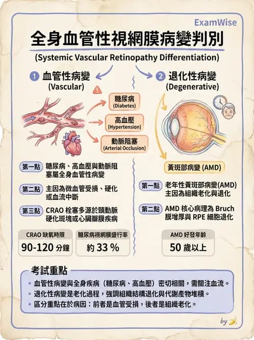 驗光師 - 血管阻塞、甲狀腺眼疾與其他全身性眼病變 - AI 圖文解析預覽