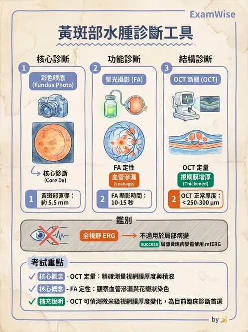 驗光師 - 糖尿病眼部病變 - AI 圖文解析預覽