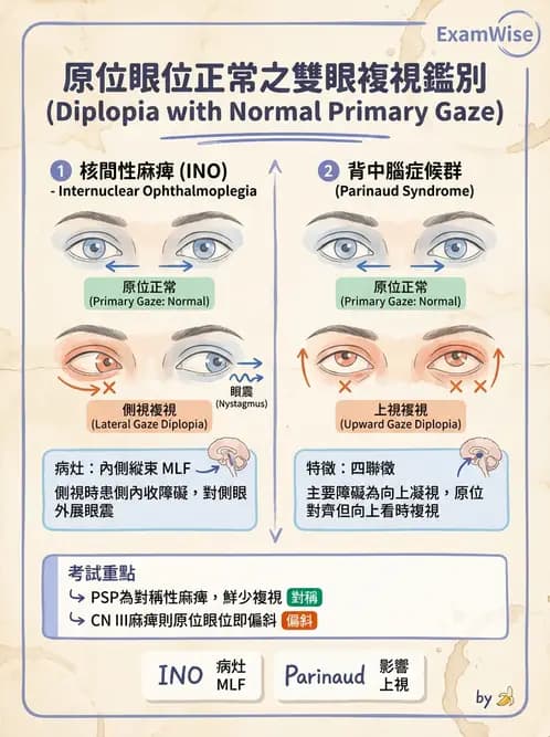 驗光師 - 斜弱視與神經眼科 - AI 圖文解析預覽