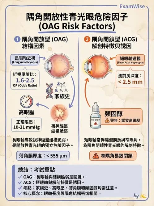 驗光師 - 青光眼分類、病因與危險因子 - AI 圖文解析預覽