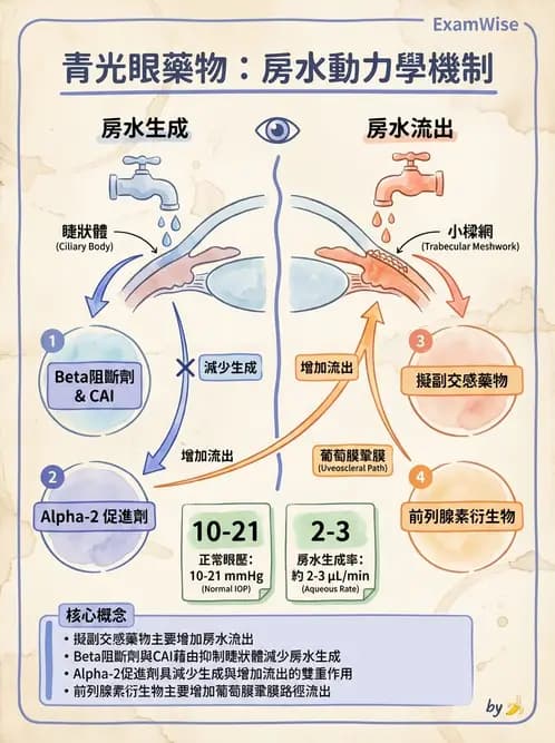 驗光師 - 青光眼診斷與治療 - AI 圖文解析預覽