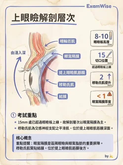 驗光師 - 眼附屬系統 - AI 圖文解析預覽
