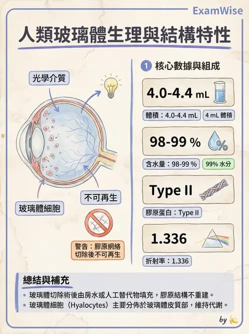 驗光師 - 水晶體與玻璃體 - AI 圖文解析預覽