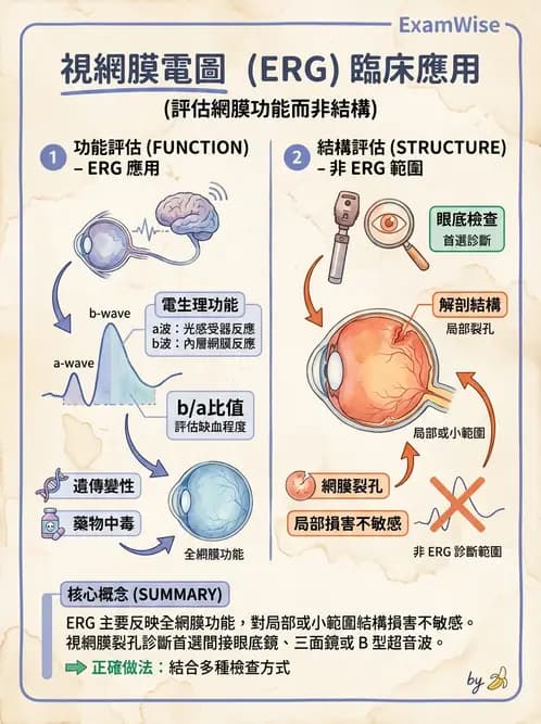 驗光師 - 視覺生理與檢查 - AI 圖文解析預覽