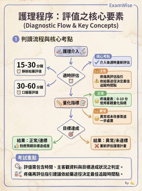 護理師 - 護理過程(評估至評值) - AI 圖文解析預覽