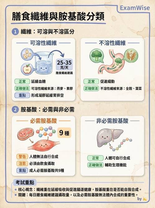 護理師 - 營養與管灌飲食 - AI 圖文解析預覽
