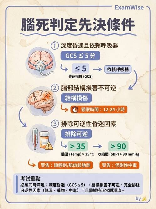 護理師 - 臨終與哀傷護理 - AI 圖文解析預覽