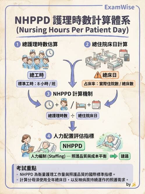 護理師 - 人力資源與排班管理 - AI 圖文解析預覽