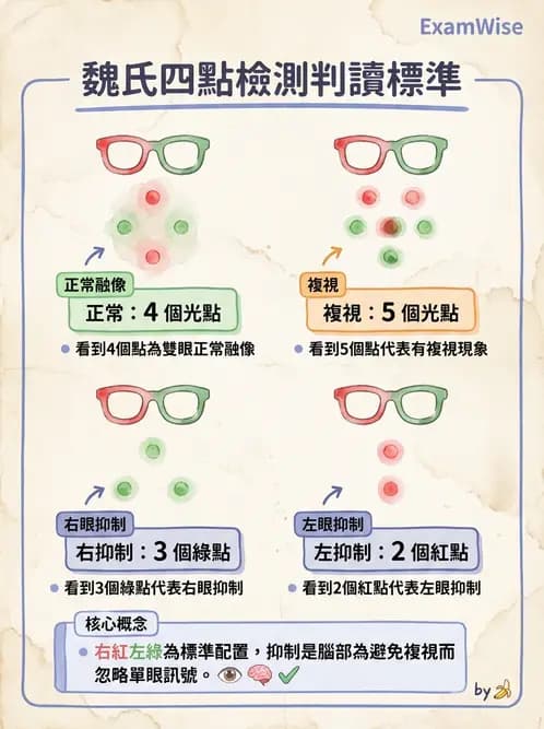 驗光師 - 調節功能與立體視融像評估 - AI 圖文解析預覽