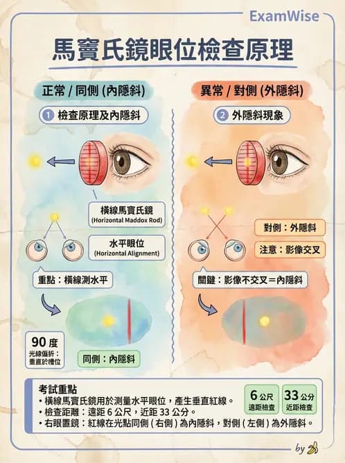 驗光師 - 隱斜位測量方法 - AI 圖文解析預覽