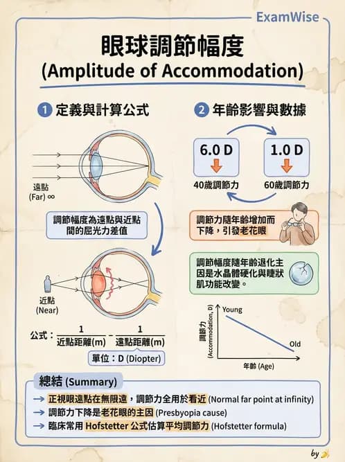 驗光師 - 調節功能與立體視融像評估 - AI 圖文解析預覽