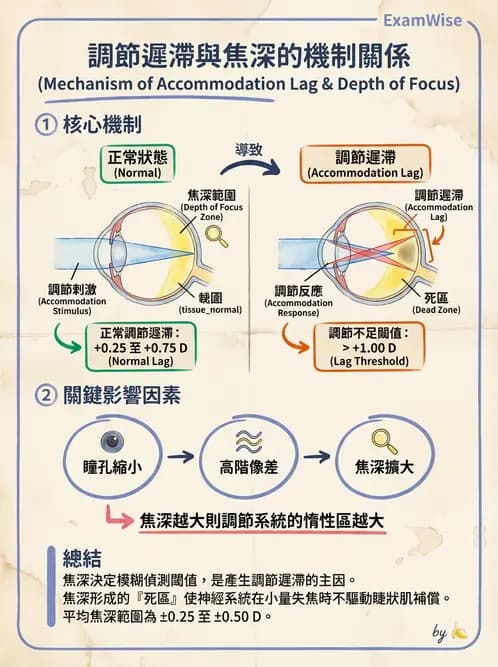 驗光師 - 調節功能異常與處置 - AI 圖文解析預覽