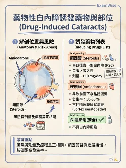驗光師 - 水晶體疾病 - AI 圖文解析預覽