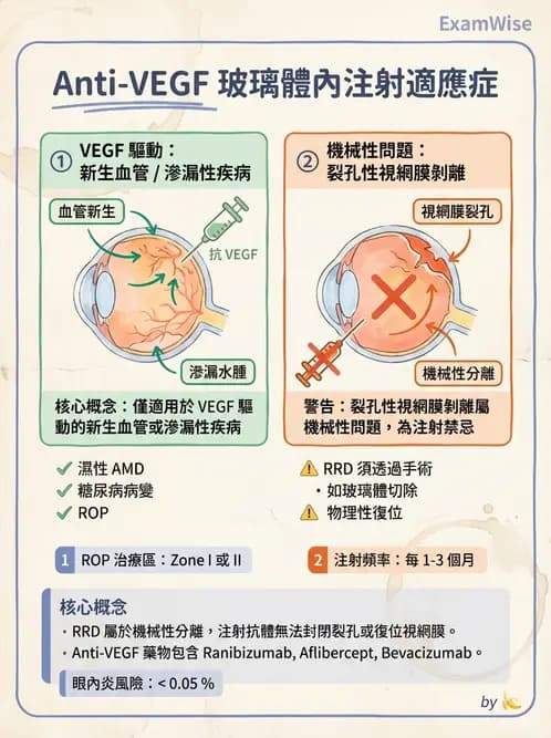 驗光師 - 視網膜疾病 - AI 圖文解析預覽