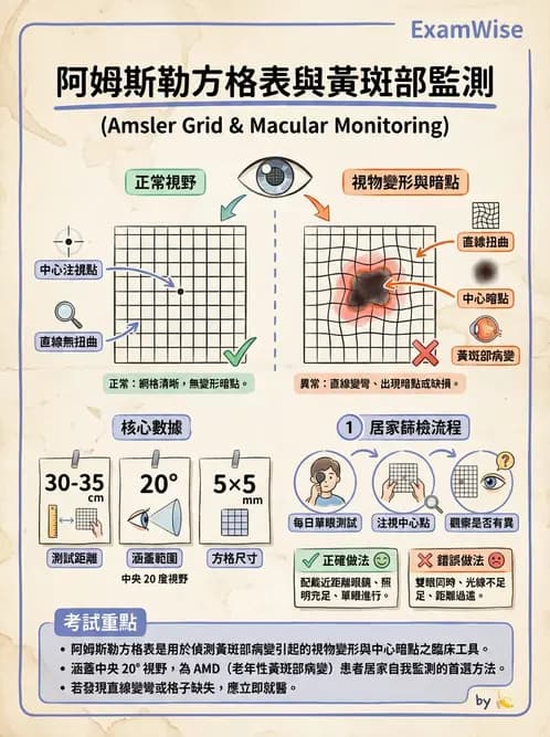 驗光師 - 視野評估與特殊族群檢查 - AI 圖文解析預覽