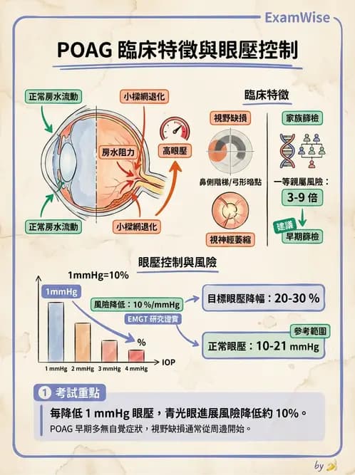 驗光生 - 青光眼與水晶體疾病 - AI 圖文解析預覽