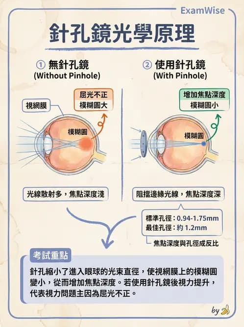 驗光生 - 針孔視力、色覺與視野篩檢 - AI 圖文解析預覽