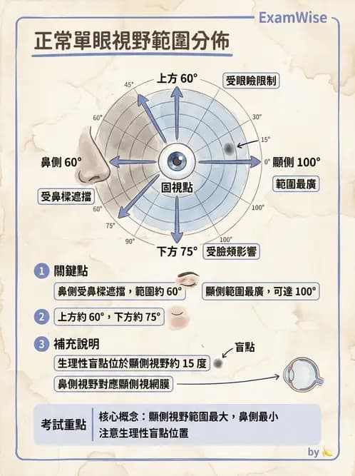 驗光生 - 視覺功能、視野與電生理檢查 - AI 圖文解析預覽