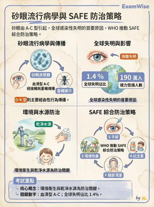 驗光生 - 角膜、結膜與眼前段疾病 - AI 圖文解析預覽