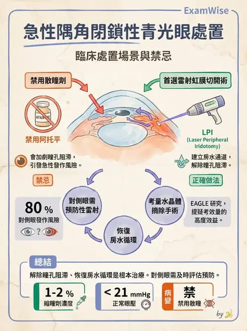 驗光生 - 青光眼與水晶體疾病 - AI 圖文解析預覽