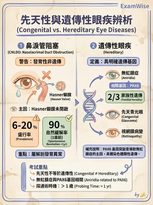 驗光生 - 兒童眼科(弱視、斜視與先天眼疾) - AI 圖文解析預覽