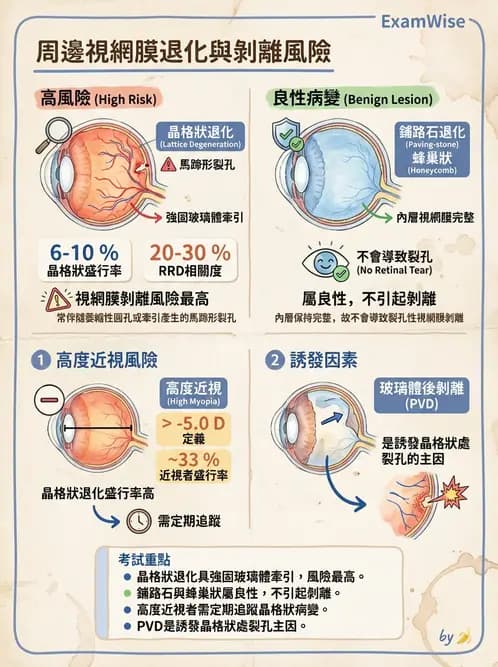 驗光生 - 視網膜與玻璃體疾病 - AI 圖文解析預覽
