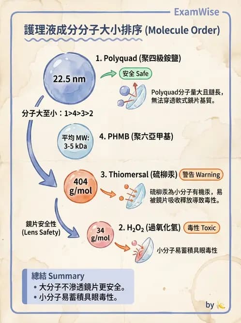 驗光生 - 隱形眼鏡護理液成分與防腐劑 - AI 圖文解析預覽