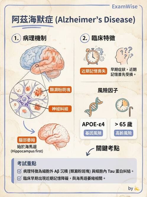 護理師 - 神經退化疾病與癲癇 - AI 圖文解析預覽