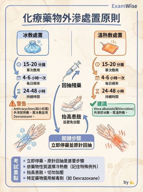 護理師 - 化療護理 - AI 圖文解析預覽