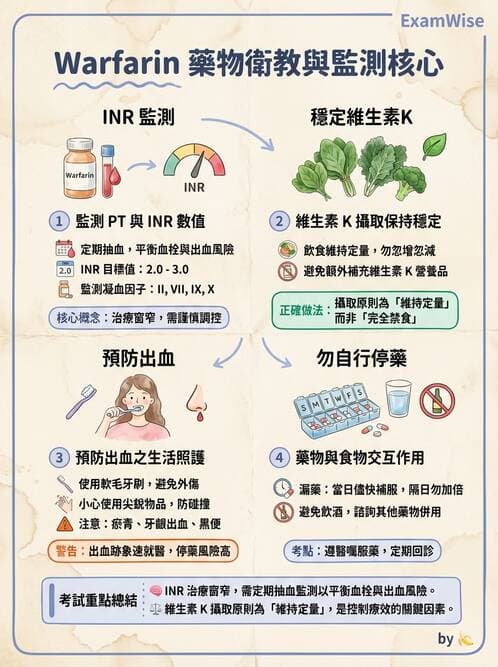 護理師 - 高血壓與周邊血管疾病 - AI 圖文解析預覽