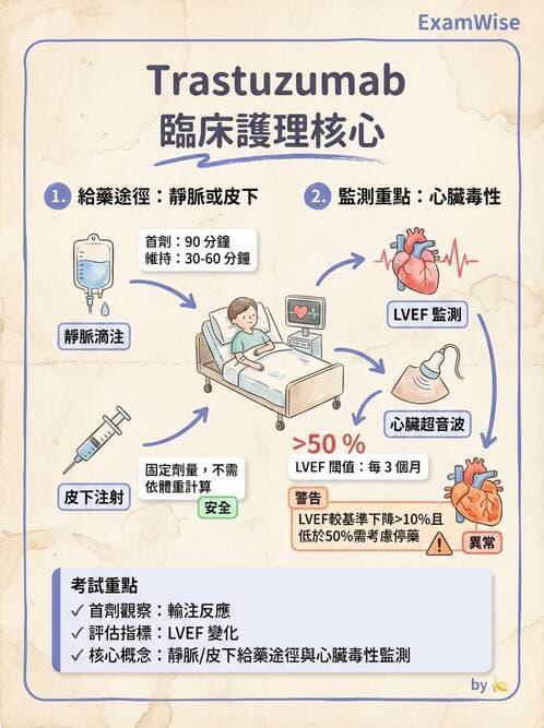 護理師 - 化療護理 - AI 圖文解析預覽