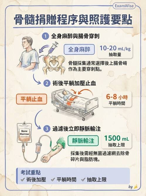 護理師 - 血液腫瘤疾病 - AI 圖文解析預覽